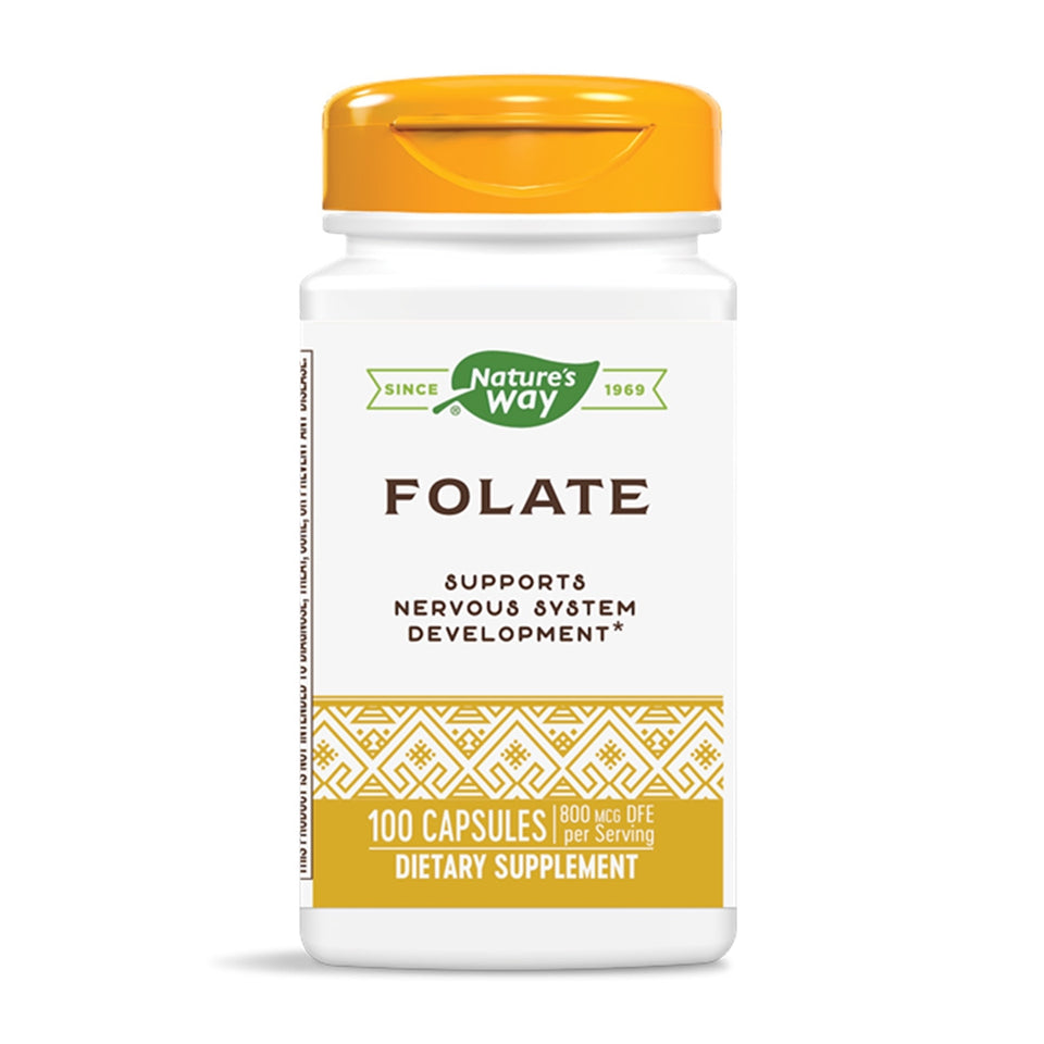 ネイチャーズウェイ_葉酸 800mcg DFE、100カプセル