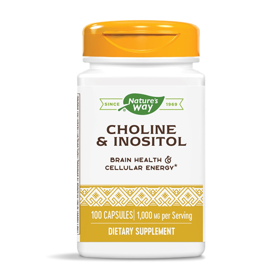 ネイチャーズウェイ_コリン&イノシトール 1000mg、100カプセル
