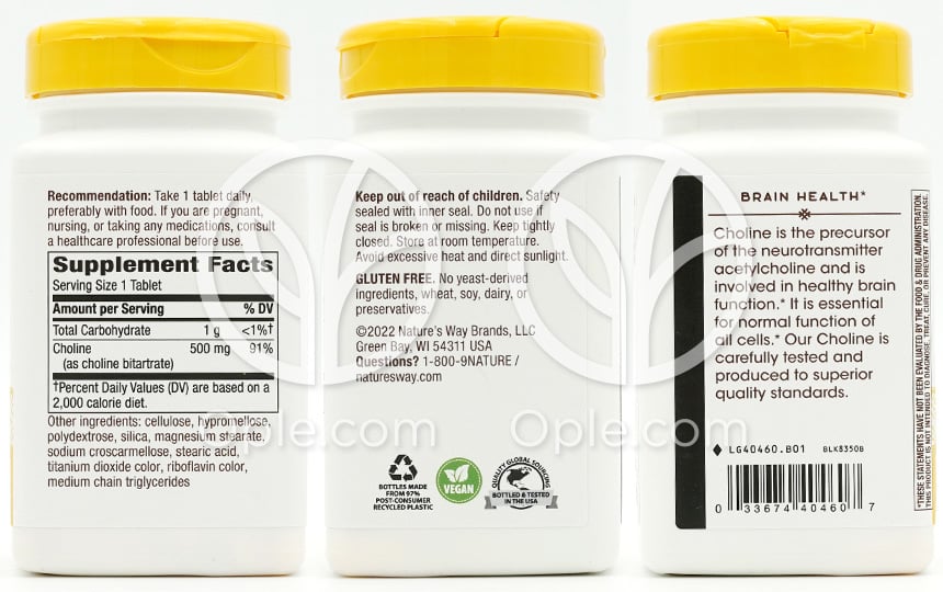 ネイチャーズウェイ_コリン 500mg、100植物性タブレット — 후면