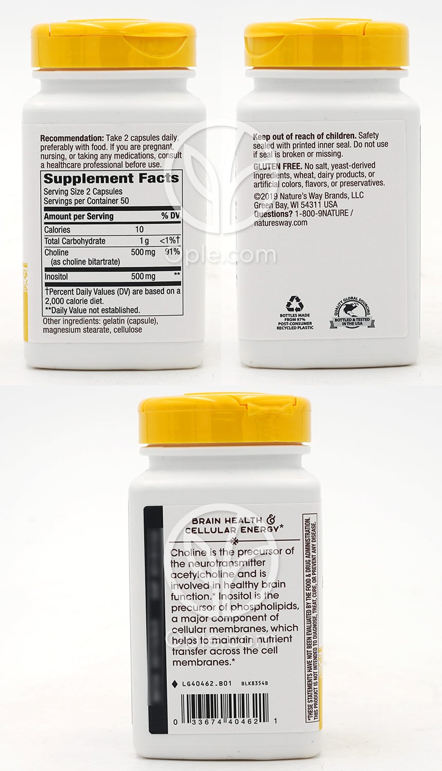 ネイチャーズウェイ_コリン＆イノシトール 1000mg、100カプセル — 후면
