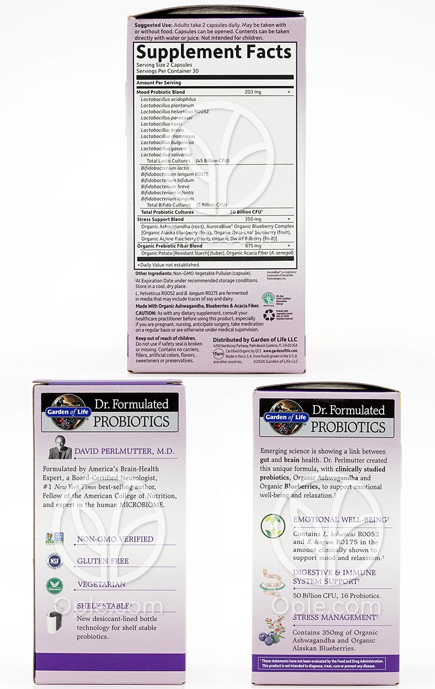 Dr. Formulated プロバイオティクス、ムード＋、500億、ベジタリアンカプセル60粒 — 후면