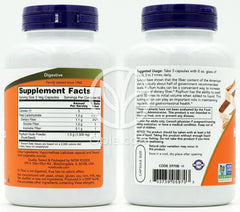 NOW Foods_サイリウムハスク 500mg、200ベジカプセル